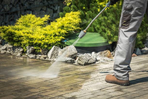 Best Animal Enclosure Cleaning  in Manson, IA
