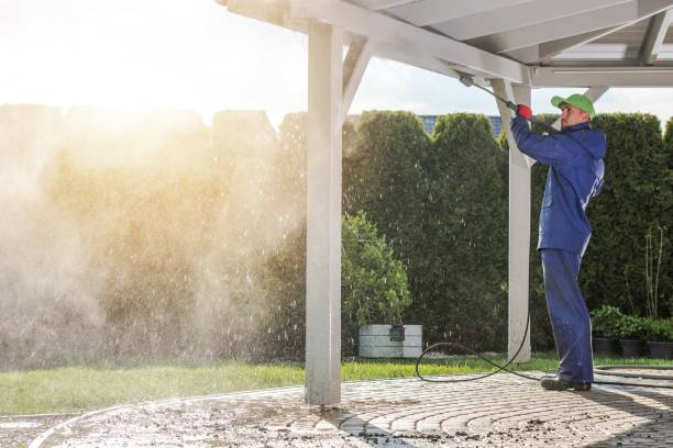 Best Solar Panel Cleaning  in Manson, IA